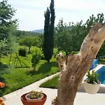Willa Almas