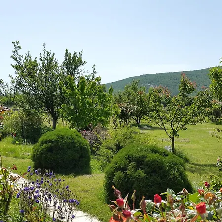 Almas With Swimming Pool, Tennis Court, Sauna, Gym, Grill House * Neoric