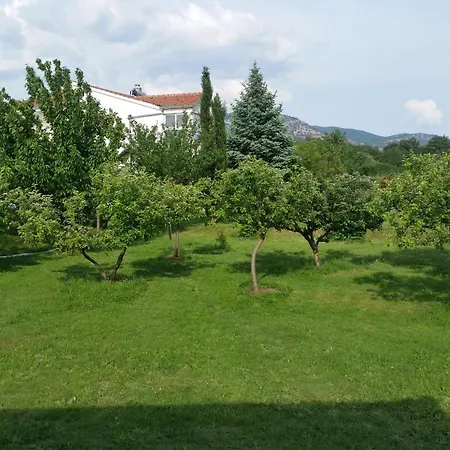 Almas With Swimming Pool, Tennis Court, Sauna, Gym, Grill House 别墅